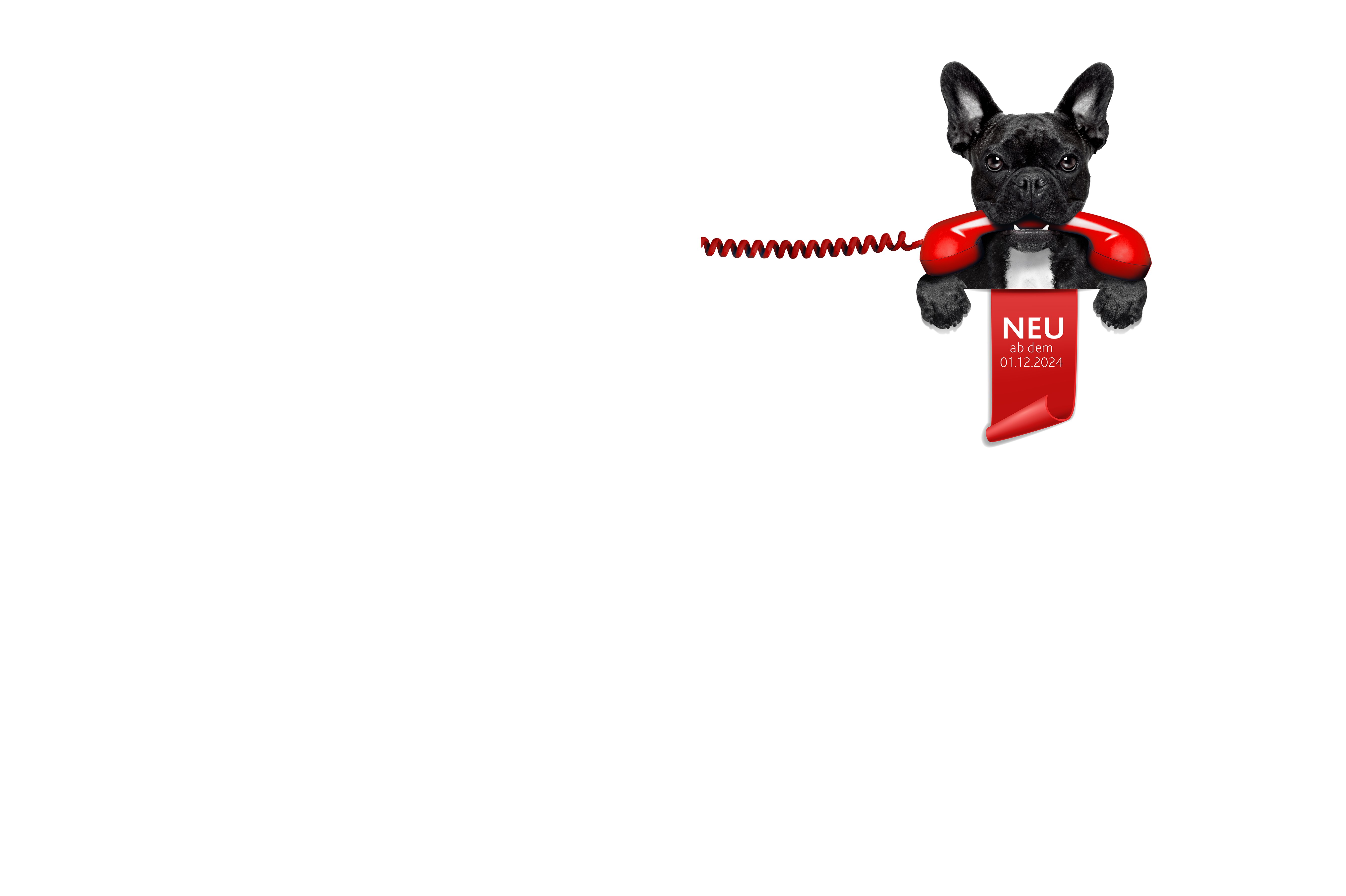 Dog with Phone and New Banner